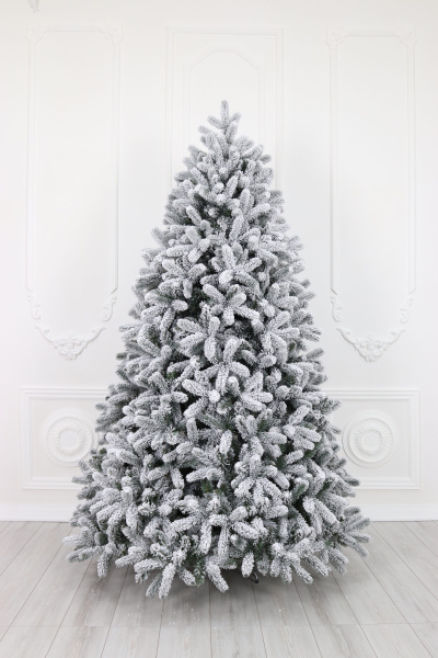 Ель "Голландская заснеженная" 1,6 м.