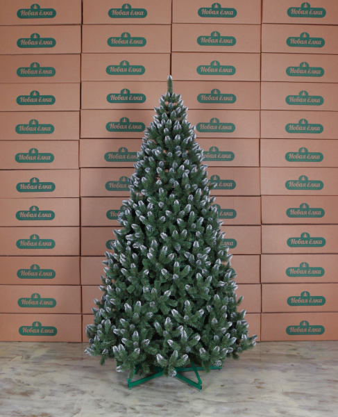 Ель "Кавказская внутренняя с белыми кончиками" 4,7 м Ель "Кавказская внутренняя с белыми кончиками" 4,7 м