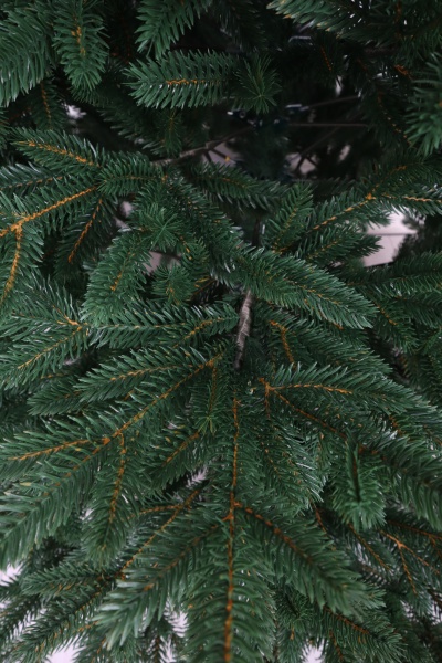 Ель "Финская Премиум" зонтик 1,8 м