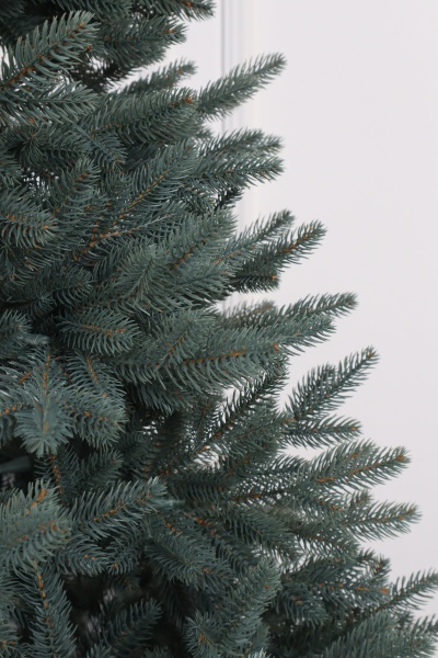 Ель "Датская голубая Премиум" (зонтик) 2,4 м