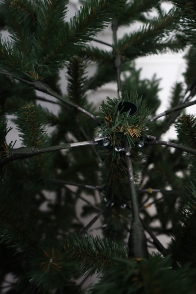 Ель "Итальянская Премиум" (зонтик) 2,4 м