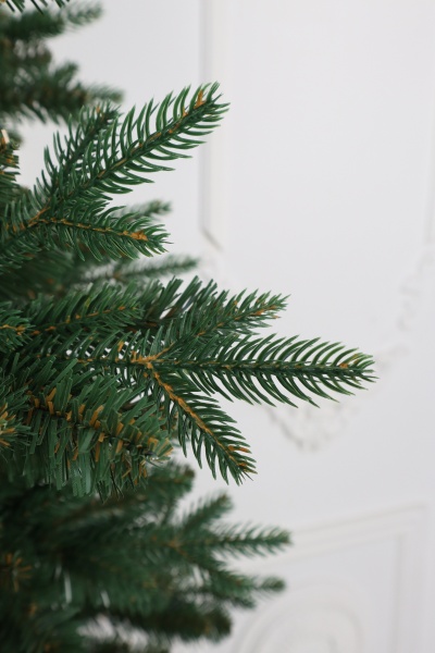 Ель "Испанская" (зонтик) 1,9 м