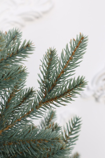 Ель "Датская голубая Премиум" 0,75 м