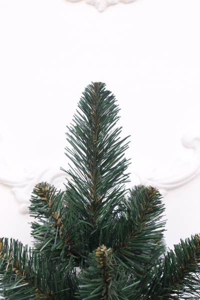 Ель "Кавказская" 0,5 м 