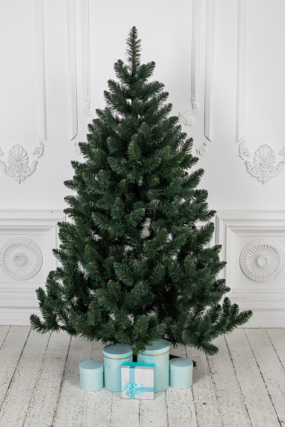 Ель "Кавказская" 1,1 м 