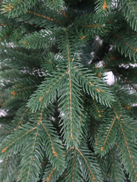 Ель "Эстонская" 1,3 м