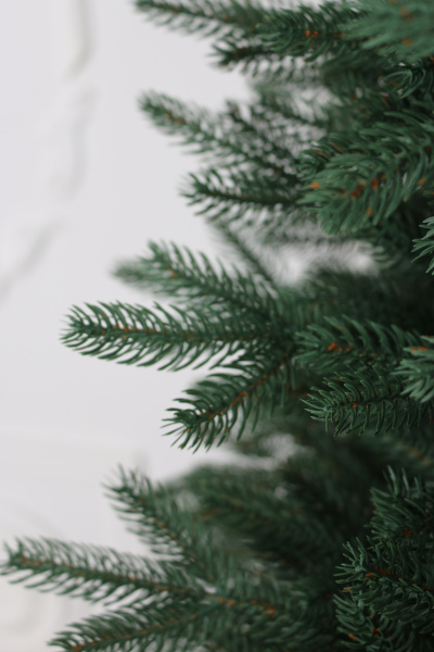 Ель "Императрица Премиум" (зонтик) 3,2 м