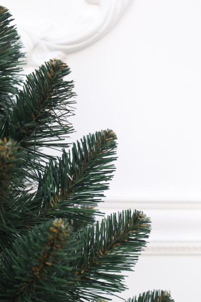 Ель "Кавказская" 0,5 м 