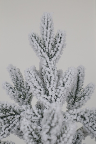 Ель "Байкальская Премиум" заснеженная 2,3м Ель "Байкальская Премиум" заснеженная 2,3м