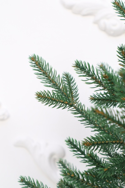 Ель "Царевна Премиум" 0,75 м в коробке