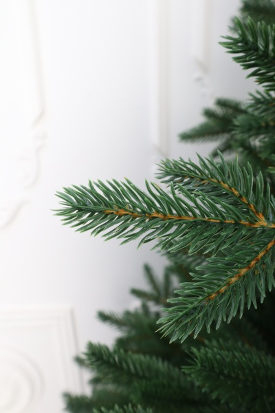 Ель "Финская Премиум" зонтик 2,85 см