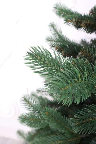 Ель "Дальневосточная" (зонтик) 2,4 м