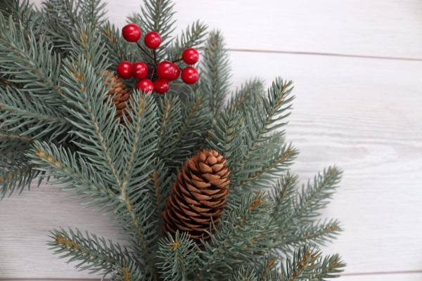 Рождественский венок "Датский голубой с шишками и красными ягодами"