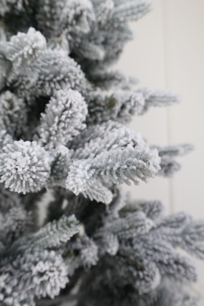 Ель "Испанская" заснеженная (зонтик) 1,9 м