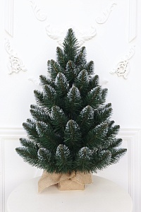 Настольные ели