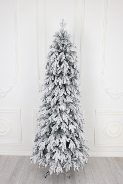 Ель "Эстонская заснеженная" 2,1 м