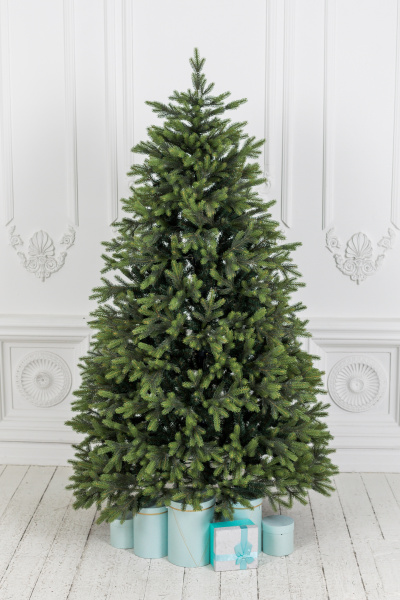 Ель "Императрица" двухцветная 3,2 м