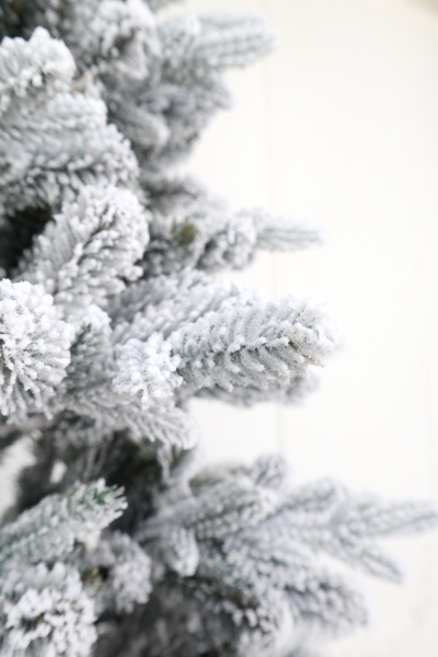 Ель "Испанская" заснеженная (зонтик) 1,9 м