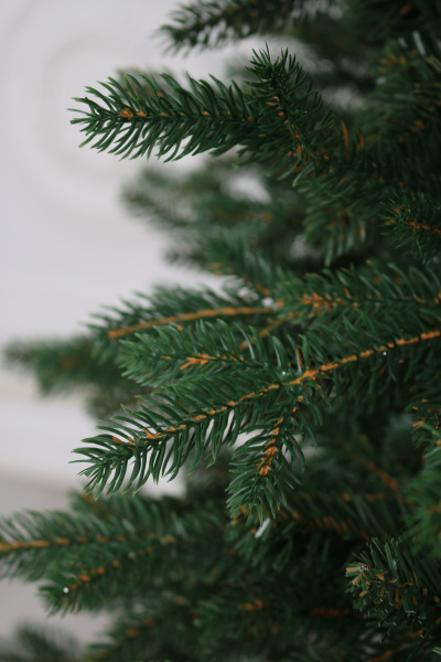 Ель "Царевна" 3,15 м