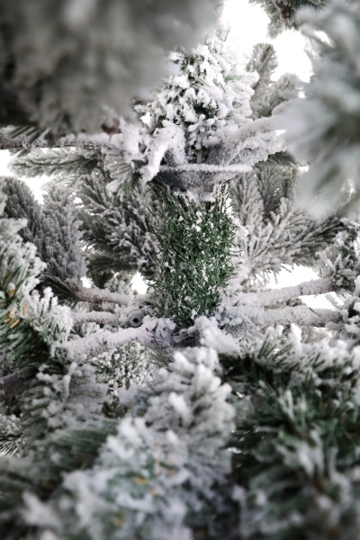 Ель "Испанская" заснеженная (зонтик) 1,9 м