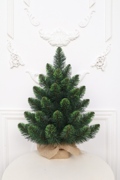 Ель "Кавказская" 0,6 м св.зелёные кончики