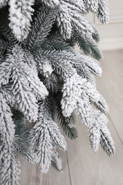 Ель "Эстонская заснеженная" 2,1 м