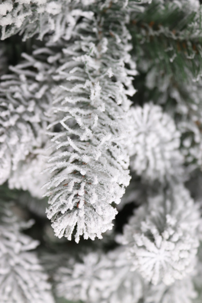 Ель "Голландская заснеженная" 2,8 м