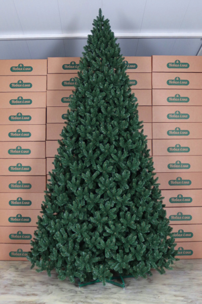 Ель "Кавказская внутренняя" 6,2 м