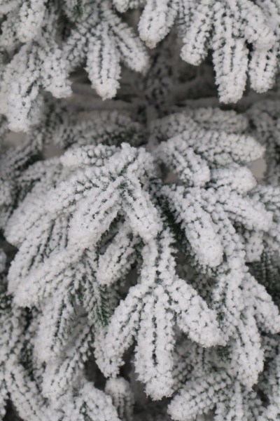 Ель "Байкальская Премиум" заснеженная 2,3м Ель "Байкальская Премиум" заснеженная 2,3м