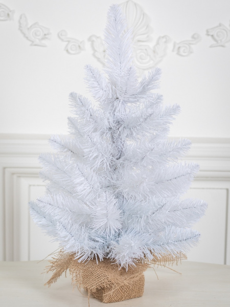 Ель "Кавказская" белая 0,6 м