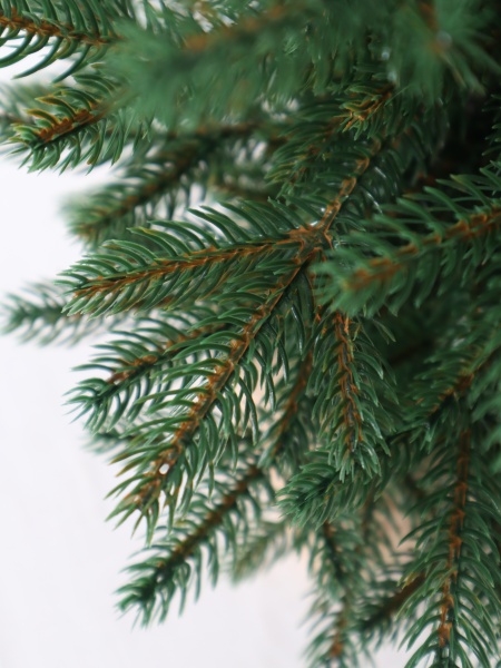 Ель "Французская Премиум" 0,45 м