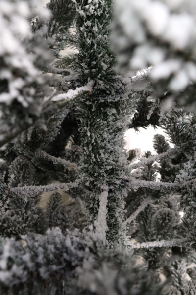 Ель "Дальневосточная" (зонтик) заснеженная 2,4 м