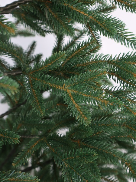 Ель "Байкальская Премиум" 2,3м