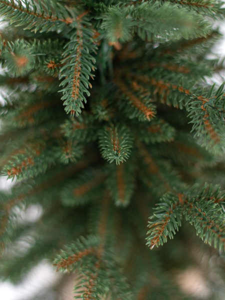 Ель "Итальянская Премиум" 0,45 м