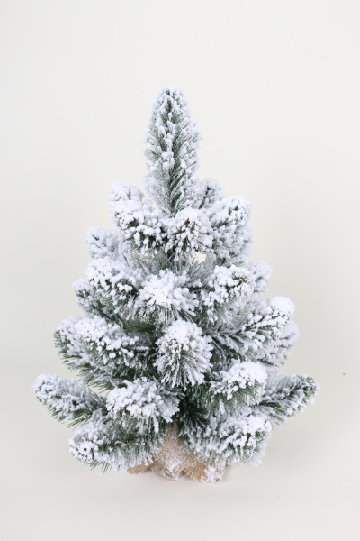 Ель Кавказская заснеженная 0,5 м в коробке