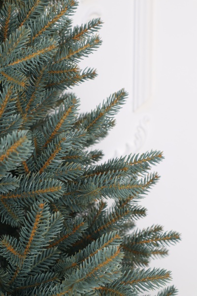 Ель "Датская голубая Премиум" (зонтик) 1,14 м