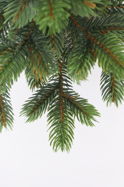 Ель "Боярская Премиум" 0,65 м