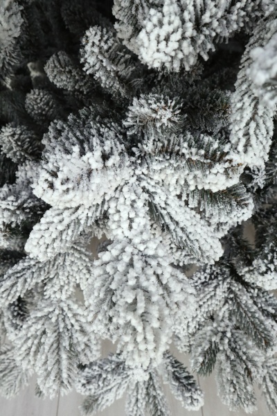 Ель "Дальневосточная" (зонтик) заснеженная 1,9 м Ель "Дальневосточная" (зонтик) заснеженная 1,9 м