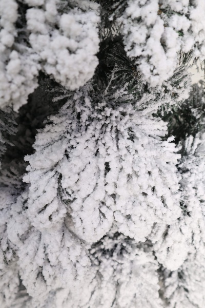 Ель "Сибирская Люкс" заснеженная 2,2 м. ветки вниз