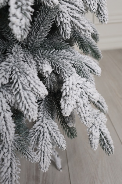 Ель "Эстонская заснеженная" 1,3 м