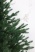 Ель "Царевна Премиум" 0,75 м в коробке