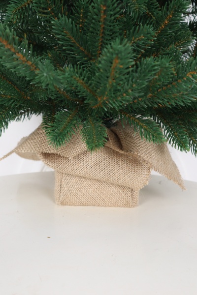 Ель "Датская Премиум" 0,65 м