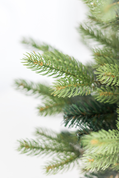 Ель "Императрица" двухцветная 0,5 м