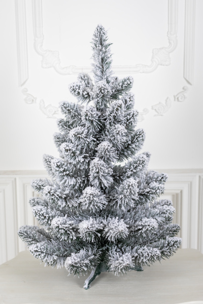 Ель Кавказская заснеженная 0,9 м в коробке Ель Кавказская заснеженная 0,9 м в коробке