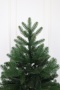 Ель "Дальневосточная" (зонтик) 2,4 м