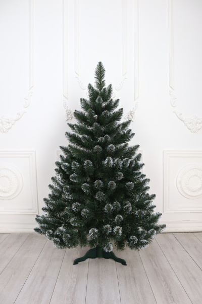 Ель "Кавказская" 1,1 м белые кончики