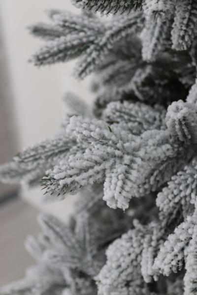 Ель "Царевна заснеженная" 3,15 м