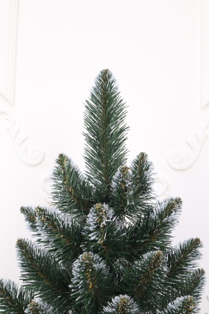 Ель "Кавказская" 0,9 м белые кончики