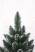 Ель "Кавказская" 0,9 м белые кончики