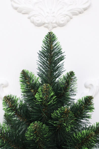 Ель "Кавказская" 0,6 м св.зелёные кончики